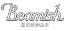 Beamish Morgan